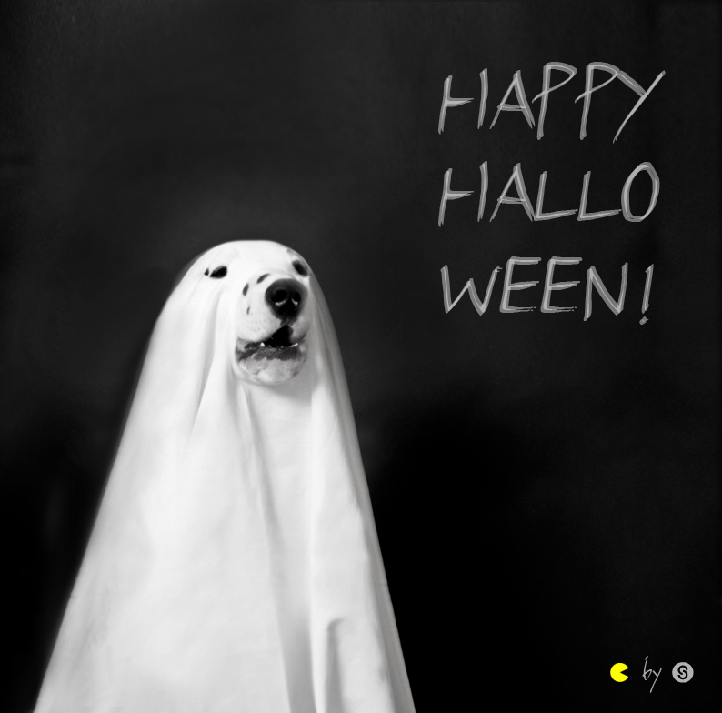 Siegelwerk I Happy Halloween Siegelwerk I Happy Halloween